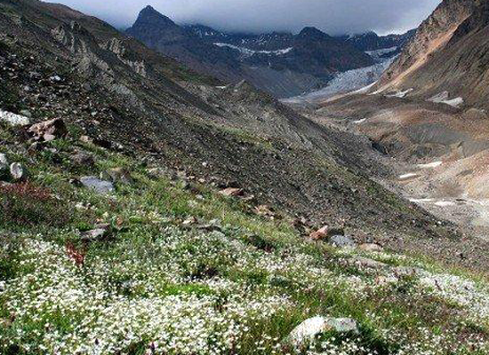 Pin Valley National Park in Spiti, Information, Holidays ...
